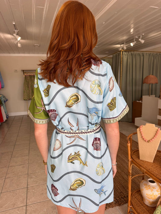 Printed Silk Mini Shirt Dress